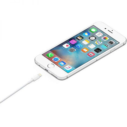 APPLE 1M LIGHTNING TO USB CABLE